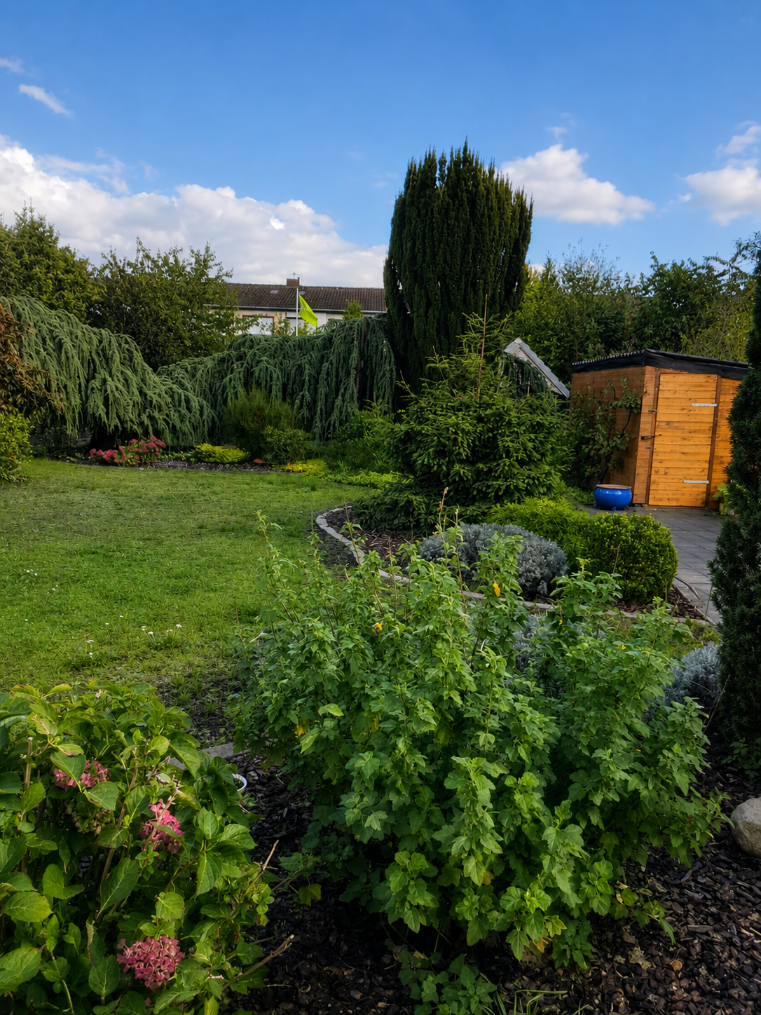 Grundstück und Gartenbereich als Ausgangslage der Projektentwicklung in Delmenhorst